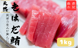 【ふるさと納税】和歌山県産 天然 キハダマグロ 約1kg / まぐろ 鮪 キハダマグロ 海鮮 魚貝 魚