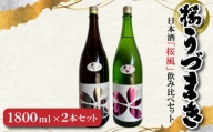 日本酒「桜風」飲み比べセット