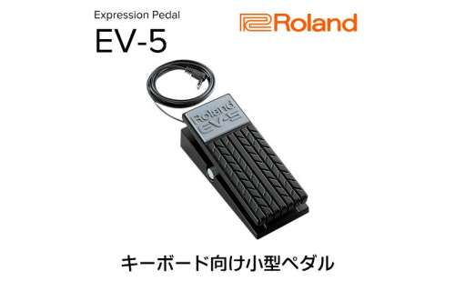 【Roland】エクスプレッションペダル/EV-5【配送不可：離島】 電化製品  117819 - 静岡県浜松市