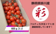1933 掛川産トマト「 彩 -sai- 」 600g 萩田真也