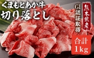 牛肉 切り落とし 熊本県産 GI 認証取得 くまもと あか牛 合計1kg 配送不可 離島