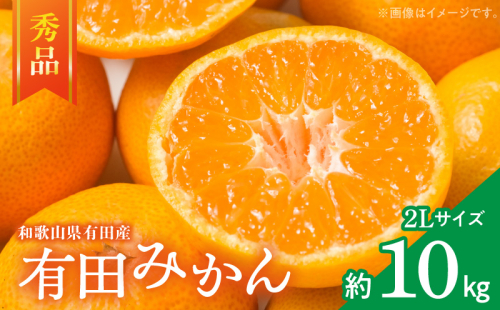 ZD7016_【秀品】 和歌山 有田みかん 10kg (2Lサイズ・秀品） 1178505 - 和歌山県湯浅町