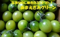 ≪先行予約≫ 農業王国豊橋の『フルーツトマト　あまえぎみグリーン』１kgバラ