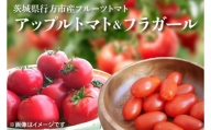 FP-2　★数量限定★東山農園のアップルトマトとフラガール　合計約1kg
