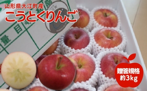 11月 贈答規格 蜜入りこうとくりんご約3kg特秀~秀【大江町産・山形りんご・りんご専科 清野哲生】 117878 - 山形県大江町