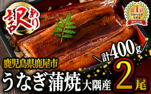 2332 【年内配送12月8日入金まで】【訳あり】鹿児島県大隅産うなぎ蒲焼２尾セット（計400g）国産本格うなぎ鰻蒲焼鹿児島 冬うなぎ