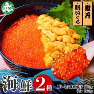 3009. 2種 海鮮丼 鱒 いくら醤油漬け 100g×5 約5-6人前 ウニ チリ産 雲丹 うに 100g×2 セット いくら イクラ いくら醤油 魚卵 ます マス 海鮮 送料無料 北海道 弟子屈町