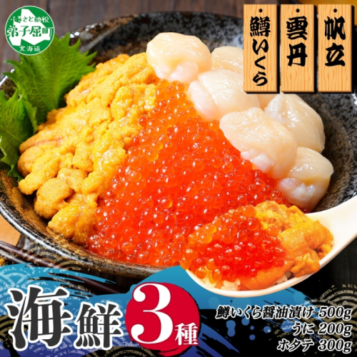 3610. 3種 海鮮丼 鱒 いくら醤油漬け 100g×5 5-6人前 ウニ チリ産 雲丹 うに 200g ホタテ 300g 帆立 いくら いくら醤油 イクラ 魚卵 海鮮 送料無料 北海道 弟子屈町 117911 - 北海道弟子屈町