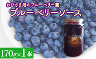 【おひさま畑のブルーベリー園】ブルーベリーソース（170g）1本 ブルーベリー
