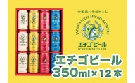 エチゴビール 350ml×12本（4種類×3本）