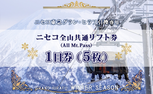ニセコ 全山共通 リフト券 All Mt.Pass 1日券 【5枚】 2025-2026シーズン スキー リフト券 スポーツ 羊蹄山 雪 パウダースノー ニセコ 倶知安町 スキー場 冬山 雪山 ウインタースポーツ スノボ  1179456 - 北海道倶知安町