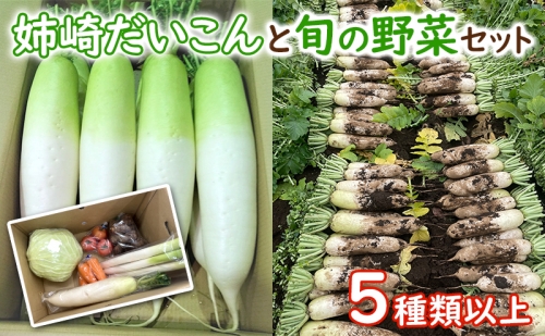 姉崎だいこんと旬の野菜セット　5種類以上 1179498 - 千葉県市原市