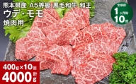 【1ヶ月毎10回定期便】熊本県産 A5等級 黒毛和牛 和王 ウデ・モモ 焼肉用 400g 計4000g