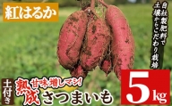a845-C [期間限定・数量限定]鹿児島県産さつまいも紅はるか土付き5kg(生芋)[コウエイ環境]