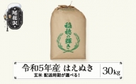 米 30kg  はえぬき 玄米 令和5年産 2024年6月下旬 kb-hagxa30-6s