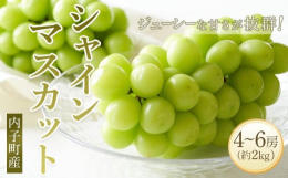 内子の風土が育てた一味違うぶどうです。ジューシーな甘さが抜群！＜シャインマスカットとは＞シャインマスカットは「安芸津21号」と「白南」を掛け合わせて育成された大粒ブドウ品種です。お互いの長所である、「