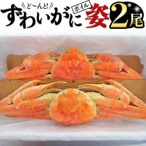 ボイルずわい蟹 姿 800g×2尾 カニ かに 蟹 特大 ズワイガニ 1.6kg ずわいガニ 1600g 118078 - 茨城県大洗町