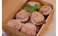 【限定50箱販売】特選原木しいたけ 濃厚肉厚 贈答品  椎茸 シイタケ