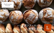 国産 オーガニック 小麦 の ハード系 フランスパン と 焼菓子 セット Ｌ