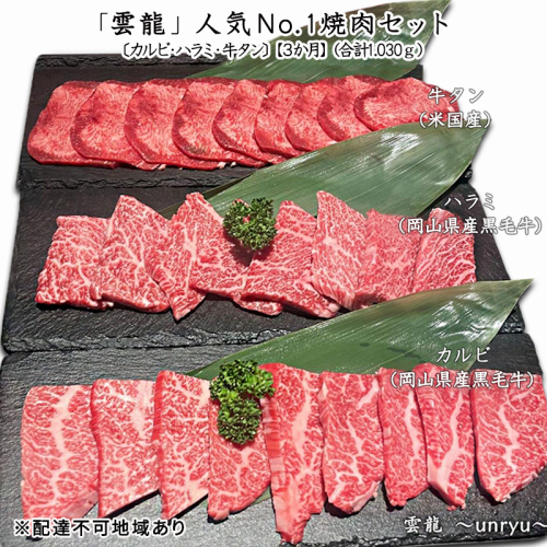 定期便 3ヶ月 人気 焼肉 セット 各回合計約1,030g カルビ ハラミ 牛タン【雲龍焼肉たれ付】 雲龍  岡山県産 肉 お肉 牛肉 和牛 牛カルビ 牛ハラミ 1030g 焼肉セット 焼き肉 3回 お楽しみ  1181585 - 岡山県玉野市