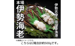 伊勢志摩産の活伊勢海老を姿造りにして、お届けいたします。包丁、まな板不要で解凍、盛り付けのみで本格的、伊勢海老姿造りがお楽しみ頂けます。本返礼品の主要部分は南伊勢町にて生産・製造または加工したものが占