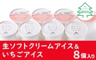 【4月発送】注文殺到！人気NO.1 生ソフトクリームアイス＆いちごアイス 8個セット アイスクリーム 5000円