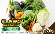 ＜旬のお野菜詰め合わせセット6kg＞濱くんちのお野菜から旬のお野菜が届くお楽しみBOX【1475189】