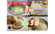たかさご米 　白米３ｋｇ　玄米３ｋｇ　食べ比べセット　結びのまち　高砂市　ヒノヒカリ　環境に優しい　植物繊維　タンパク質　腸内環境