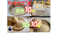 たかさご米 　　白米１０ｋｇ　　玄米１０ｋｇ　　食べ比べセット　　結びのまち　　高砂市　
