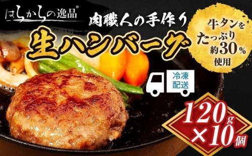 ハンバーグ 肉職人の手作り生ハンバーグ 10個 セット はらからの逸品 牛肉 豚肉 合い挽き 小分け 冷凍 10000円  1183399 - 宮城県亘理町