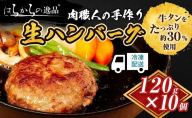 ハンバーグ 肉職人の手作り生ハンバーグ 10個 セット はらからの逸品 牛肉 豚肉 合い挽き 小分け 冷凍 10000円