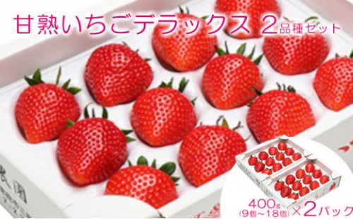 旬の大玉・甘熟いちごデラックス２品種セット 1183589 - 茨城県常総市