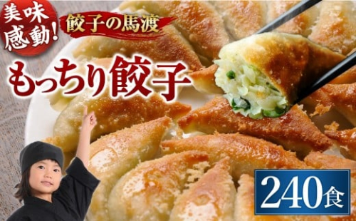 【宮崎空港で大人気!】＜馬渡のもっちり餃子240個＞翌月末迄に順次出荷 餃子の馬渡 1183858 - 宮崎県高鍋町