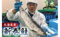 新巻鮭1本（1.2kg前後・北海道産） mi0012-0142
