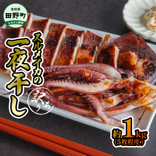 ★訳あり★スルメイカの一日干し 約1kg 5枚程度 冷凍 一日干し 干物 加工食品 肉厚 海鮮 うまみ おつまみ 酒のお供 冷凍 1枚約200g 産地直送 冷凍配送 焼くだけ 簡単 国産 お取り寄せグルメ 高知県産 土佐 高知 返礼品 故郷納税 ふるさとのうぜい 田野町 1183892 - 高知県田野町