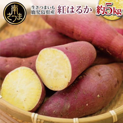 ★12月発送開始★ 鹿児島県産生さつまいも 「紅はるか」約5kg さつまいも 焼き芋 さつま芋 甘藷 サツマイモ べにはるか スイーツ JA 南さつま市 1184232 - 鹿児島県南さつま市