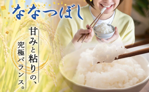 北海道 定期便 6ヵ月連続6回 令和6年産 ななつぼし 無洗米 4.5kg×2袋 特A 米 白米 ご飯 お米 ごはん 国産 ブランド米 時短 便利 常温 お取り寄せ 産地直送 送料無料