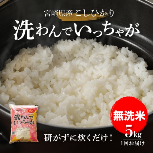 無洗米コシヒカリ 洗わんでいっちゃが 5kg K23_0002 1184557 - 宮崎県木城町