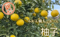 【訳あり品】みかん職人の柚子（ゆず）8kg