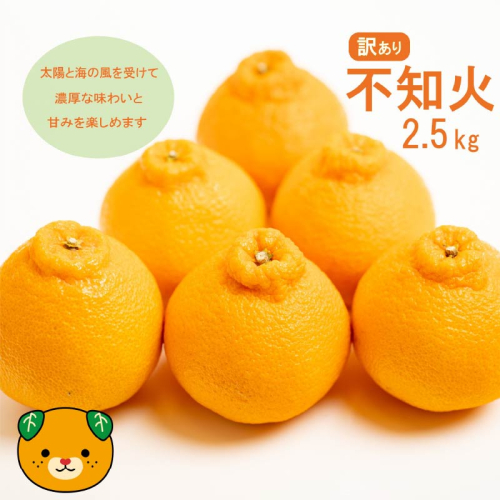 【先行予約】訳あり 不知火 2.5kg 減農薬 サイズミックス 不揃い 愛南フルーツ 発送時期：2027年3月下旬～なくなり次第終了 1184676 - 愛媛県愛南町