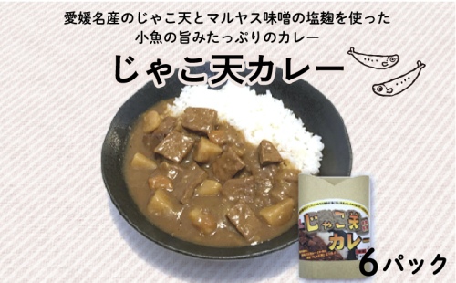 じゃこ天カレー 6パック (1パック 200g) マルヤス味噌 愛媛県 愛南町 1184711 - 愛媛県愛南町