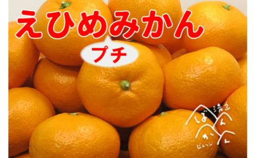 愛媛県産 小玉 みかん 優品 s ～ ss 5kg 清家ばんかんビレッジ 愛媛