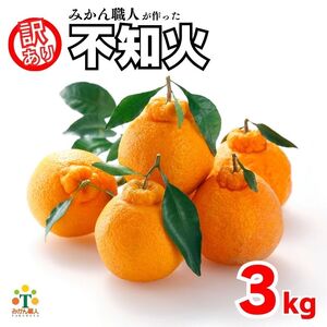 【先行予約】 訳あり 不知火 3kg  しらぬい かんきつ 柑橘 みかん 蜜柑 でこぽん おやつ きず 傷 ふぞろい 不揃いフルーツ 果物 くだもの 果実 愛媛県 愛南町 みかん職人武田屋 1184744 - 愛媛県愛南町