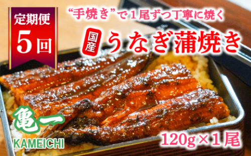 定期便 5回 うなぎ 蒲焼 約120g 1本 鰻 老舗 亀一 手焼き タレ セット  1184763 - 愛媛県愛南町