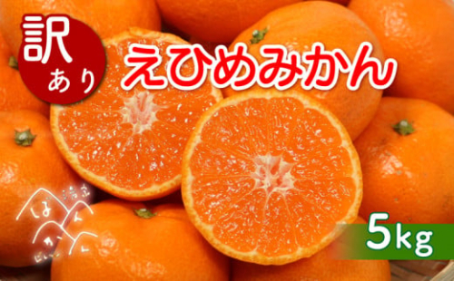 先行予約 訳あり 愛媛みかん 5kg (傷み保証250g) 発送期間 2025年11月上旬以降 みかん 愛媛みかん 温州みかん 南柑20号 柑橘 蜜柑 かんきつ 冬 秋 旬 正月 おすそ分け シェア 愛媛 愛媛県 愛南町 お歳暮 プレゼント くだもの 果物 フルーツ おやつ お菓子 和菓子 甘い 糖度 オレンジ 冷凍 みかん ジュース 清家ばんかんビレッジ 1184774 - 愛媛県愛南町