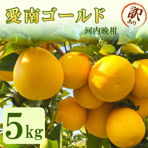 家庭用 愛南ゴールド（河内晩柑）約5kg みかん 蜜柑 河内晩柑 グレープフルーツ 柑橘 果物 フルーツ 前田ファーム 愛媛 愛南 【発送期間 3月下旬～5月上旬 】(なくなり次第終了) 1184785 - 愛媛県愛南町