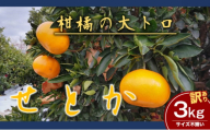 訳ありせとか　サイズ不揃い3キロ　家庭用 今が旬 甘い  農園直送 みかん 人気 数量限定 先行予約 柑橘 蜜柑 ミカン 愛媛みかん かんきつ 愛媛県 産地直送 フルーツ 果物 くだもの [№5310-0219]