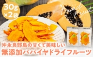 【先行受付】沖永良部島の甘くて美味しい無添加ドライフルーツ（パパイヤ）30ｇ×２袋