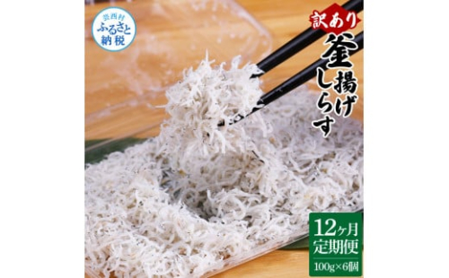 t190mmk　〈12ヶ月定期便〉訳あり 釜揚げシラス 100g×6個 定期便 定期コース 12ヶ月 しらす シラス 釜揚げ 新鮮 塩分控えめ 離乳食 わけあり ワケあり 不揃い しらす丼 海鮮丼 お茶漬け 1185741 - 高知県芸西村