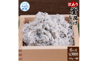 t195mmk　〈6ヶ月定期便〉訳あり 釜揚げシラス 180g×4個 定期便 定期コース 6ヶ月 しらす シラス 釜揚げ 新鮮 塩分控えめ 離乳食 わけあり ワケあり 不揃い しらす丼 海鮮丼 お茶漬け